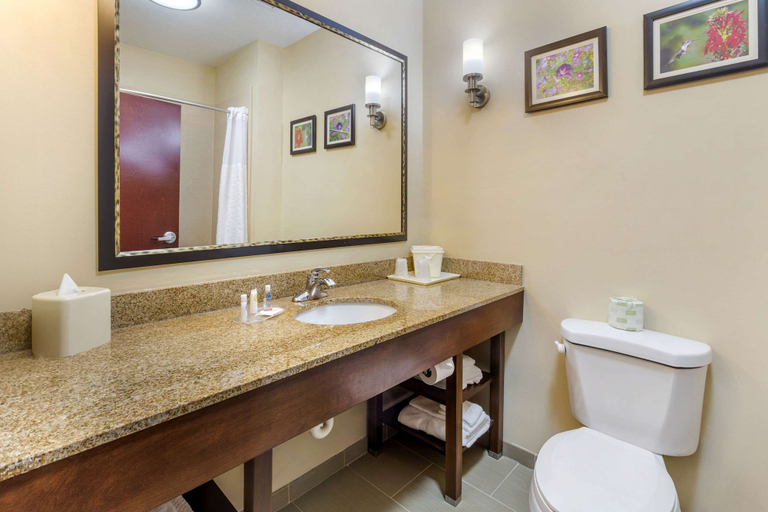 Bathroom, Comfort Suites Wilson I-95, Wilson
