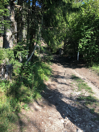 Others 4, L'EPERVIER BLANC, Haute-Savoie