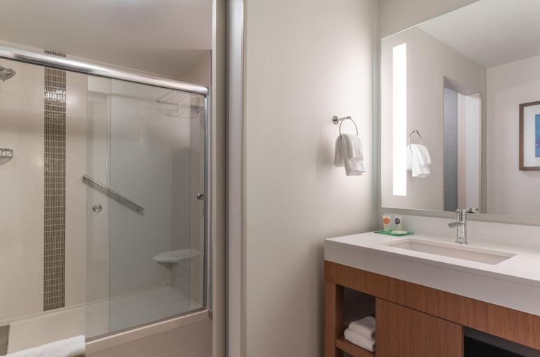 Bathroom, Hyatt Place Sandestin At Grand Blvd, Walton