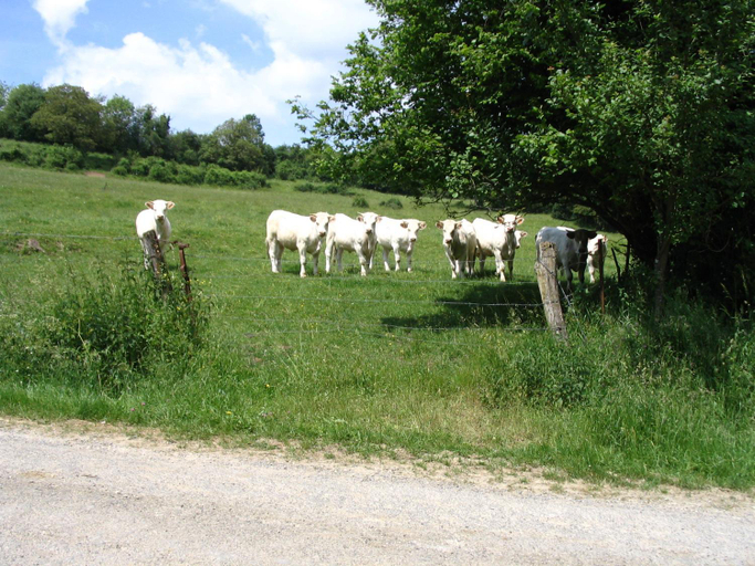 Others 3, 4 Collines, Ardennes