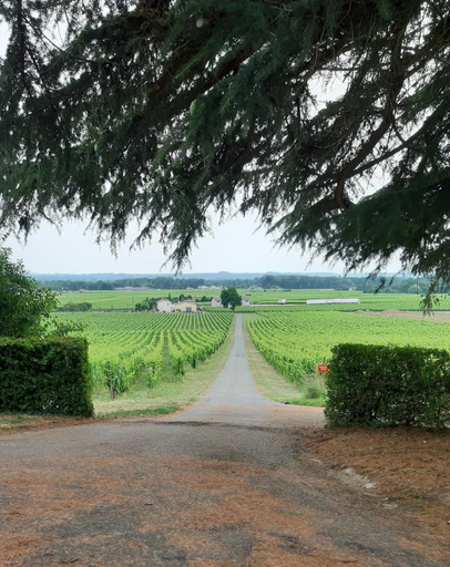 Others 5, A L'OMBRE DE LA TREILLE -Proche Saint-Emilion, Gironde
