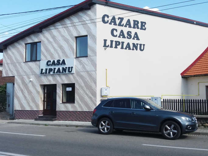 Others 4, Casa Lipianu, Targu Jiu