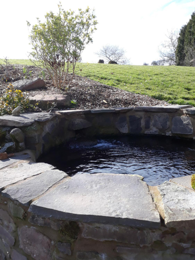 Others 4, The Draen Bed and Breakfast, Powys