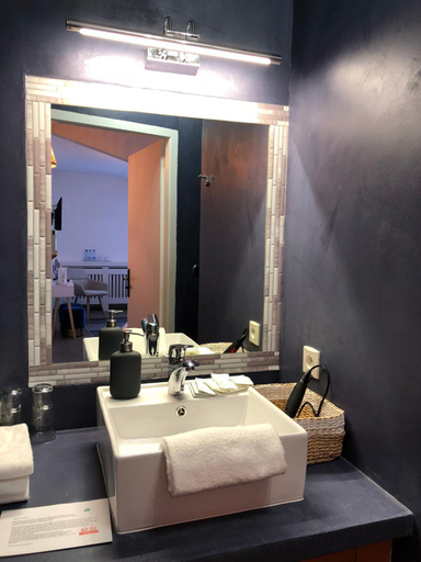 Bathroom 5, Hotel du Lac d'Arjuzanx, Landes