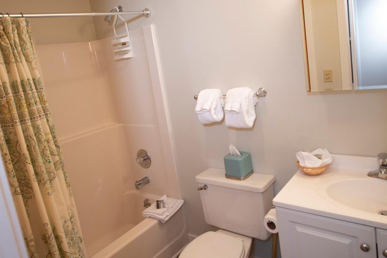 Bathroom 3, Mountain Lodge at Okemo, Windsor