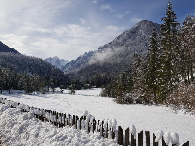 Others 3, SavaDolinka House ID 116O7O, Kranjska Gora