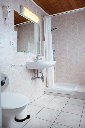 Bathroom 2, B&B La Tgamona, Albula