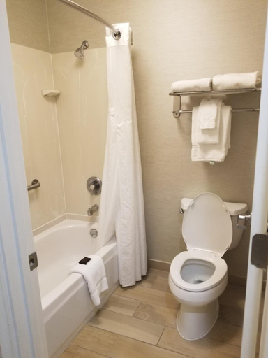 Bathroom 4, Wingate by Wyndham Port Wentworth Savannah Area, Chatham