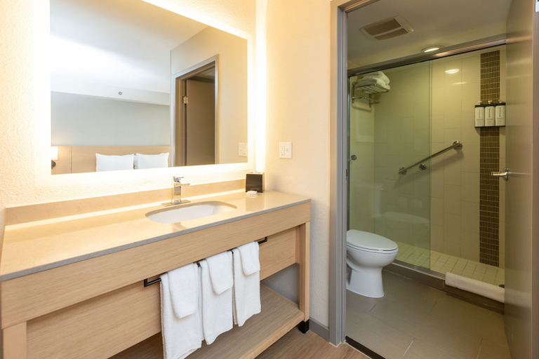 Bathroom 4, Hyatt Place Dallas/Park Central, Dallas