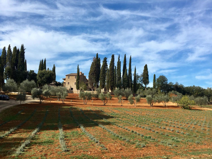 View 4, La Tenuta di Castelvecchio, Siena