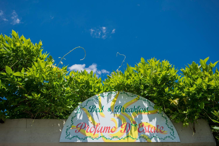 Others 4, Bed & Breakfast Profumo D'Estate, Pistoia