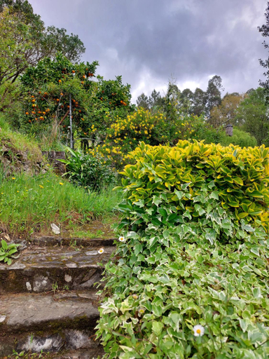 Others 2, Watermill Moinho Garcia, Oliveira de Azeméis