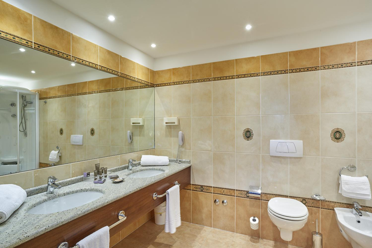 Bathroom 3, Meditur Hotel Bologna, Bologna