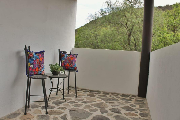 Others 3, Casa de Cactus, Ezequiel Montes