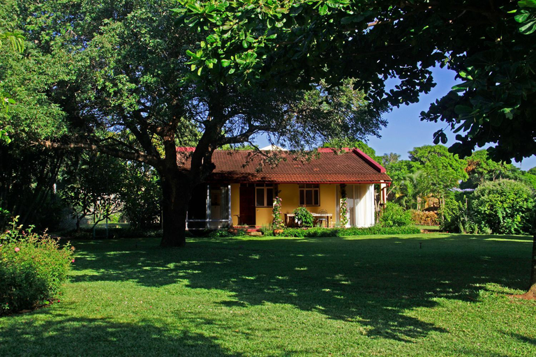 Others 3, Ancha's Oasis, Maputo