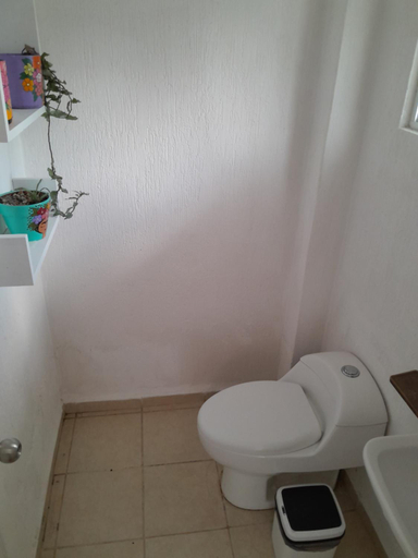 Bathroom 3, Casa Mariposas, Benito Juárez