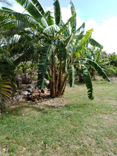 Others 4, Lili bungalows, Capesterre-de-Marie-Galante