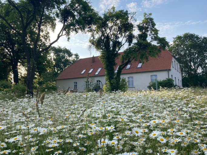 Others 5, Pasterhof Eichhorst, Mecklenburgische Seenplatte
