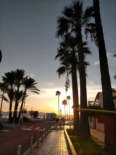 Food & Drinks 2, Residence Pierre & Vacances Cannes Villa Francia, Alpes-Maritimes