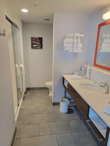 Bathroom 3, Hampton Inn & Suites Erie/Bayfront, Erie