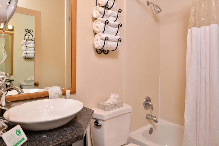 Bathroom 4, Stage Coach Inn, Gallatin