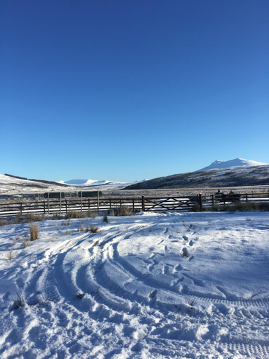 Others 2, Ledgowan Bunkhouse, Highland