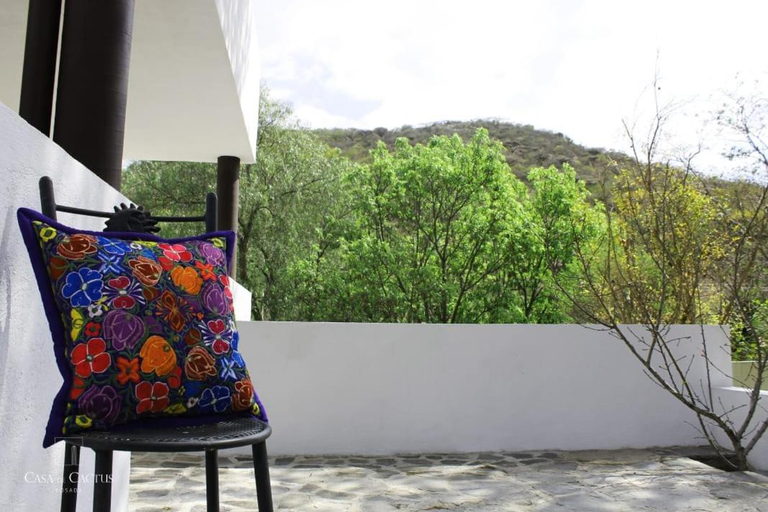 Others 5, Casa de Cactus, Ezequiel Montes