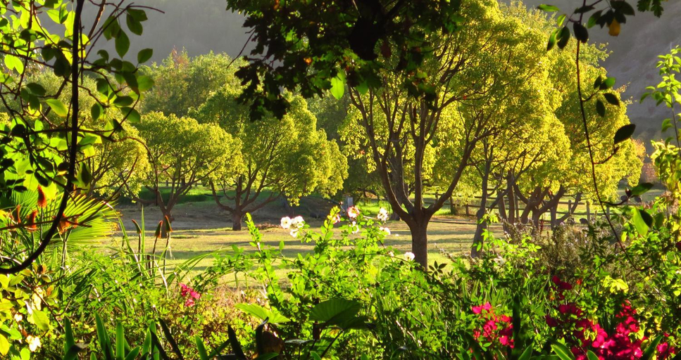 Others 4, Muratie Wine Estate, Cape Winelands