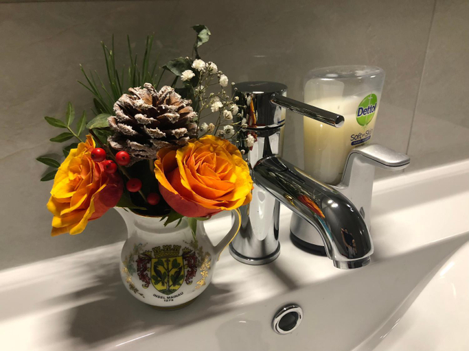 Bathroom, B&B nancy in holland met eigen badkamer , Jacuzzi niet inclusief , independent bathroom jacuzzi not , Aalten