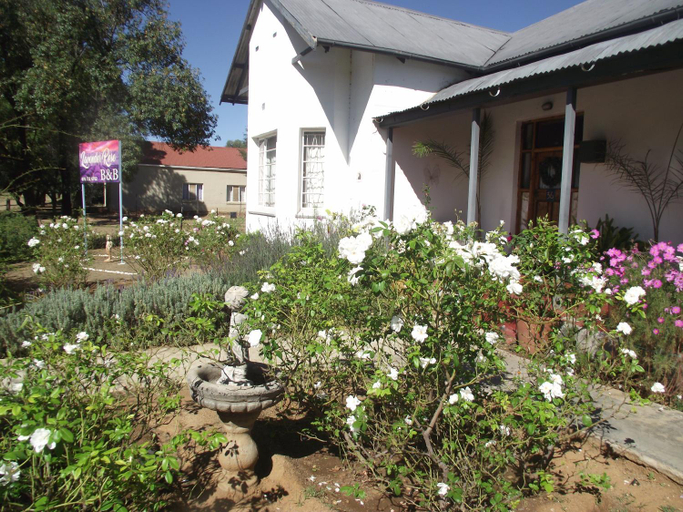 Others 4, Lavender Rose, Xhariep