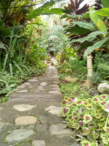 Others 2, El Jardin Colonial, Ledesma
