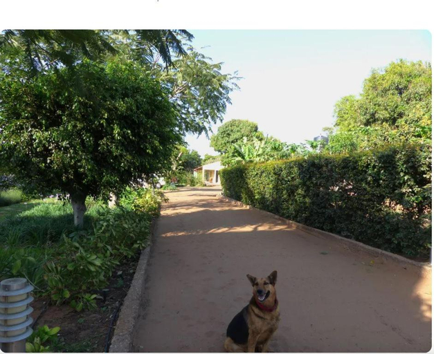 Others 4, Ancha's Oasis, Maputo