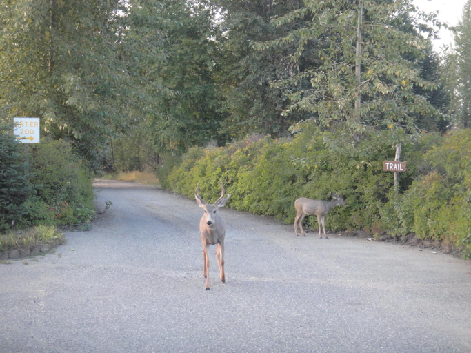 Others 5, Airport Inn, Cariboo