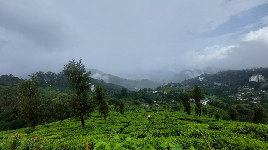 Others 2, Haritha Homestay Munnar, Idukki