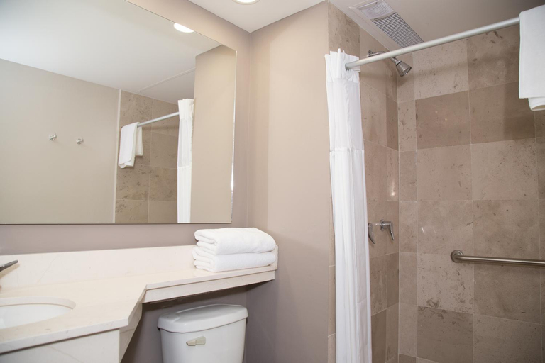 Bathroom 4, Hotel HAUS Ixtaczoquitlan, Ixhuatlancillo