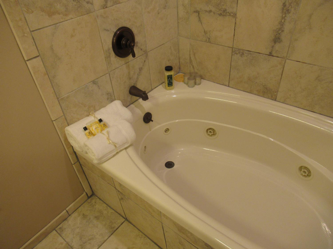 Bathroom 3, Carrier Houses Bed and Breakfast, Rutherford