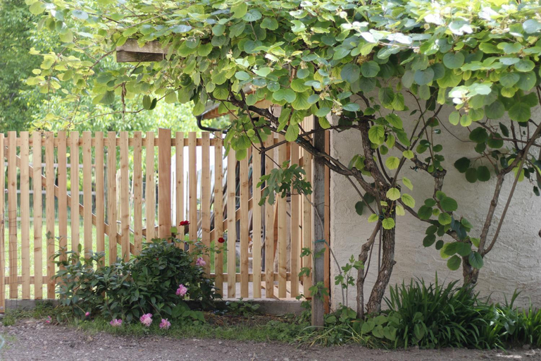 Exterior view 3, B&B Casa Gori, Trento