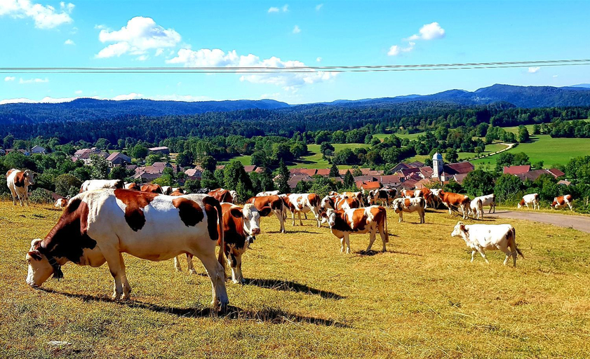 Others 4, Le Jura en toutes saisons Piscine, SPA, location VTT, balades 2cv, climatisation, Jura
