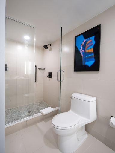Bathroom 5, Hilton Garden Inn San Juan Condado