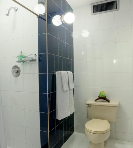 Bathroom 4, Torre De Cali Plaza Hotel, Santiago de Cali