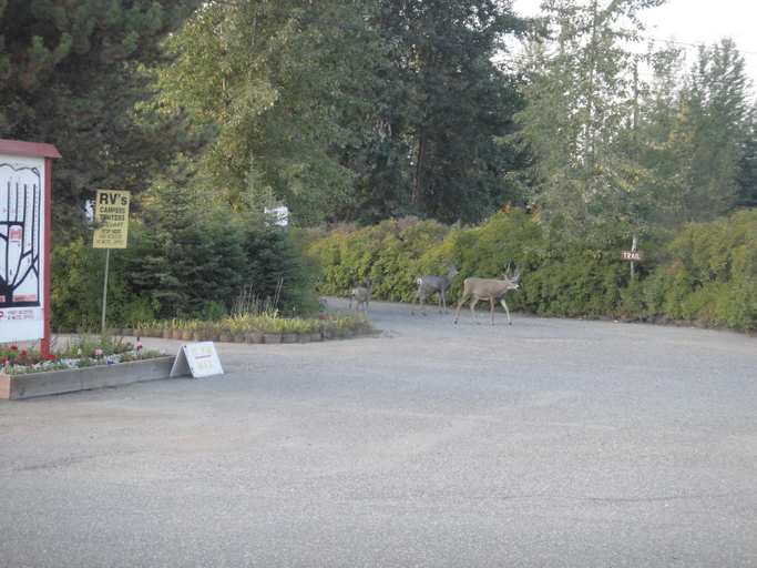 Others 2, Airport Inn, Cariboo