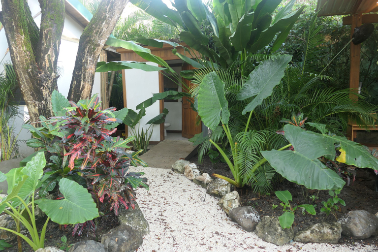 Exterior & Views 2, Dream Surf House Santa Teresa, Puntarenas