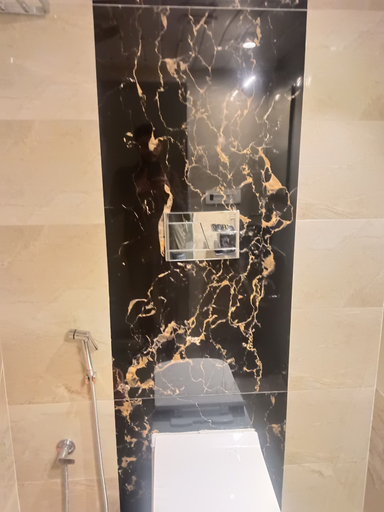Bathroom 3, Grand Dyad Hotel, Mumbai Suburban