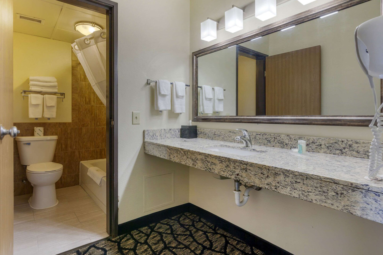 Bathroom 4, Quality Inn Oshkosh Aviation Park, Winnebago