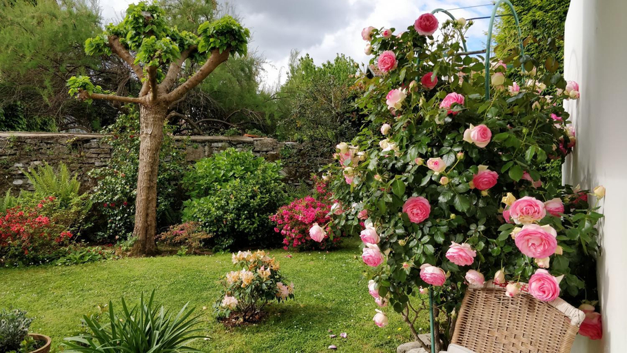 Others 2, Villa Pare Gabea - 1 ou 2 chambres, jardin privatif 600m2 - Anglet, Pyrénées-Atlantiques