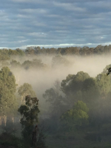 Others 5, A place to be, Hawkesbury