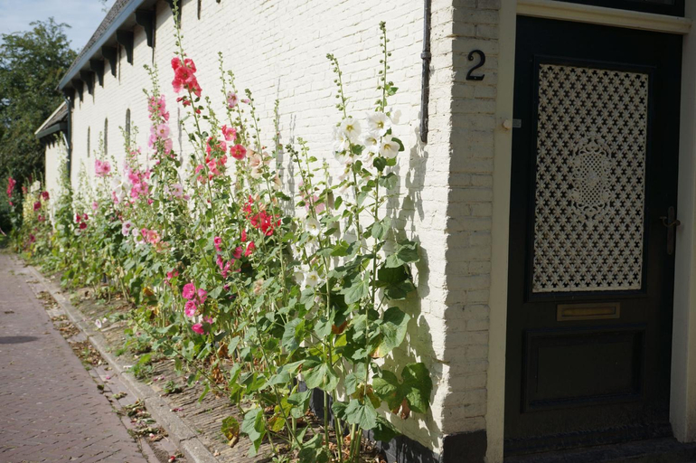 Others 2, Pastorie De Waal, Texel