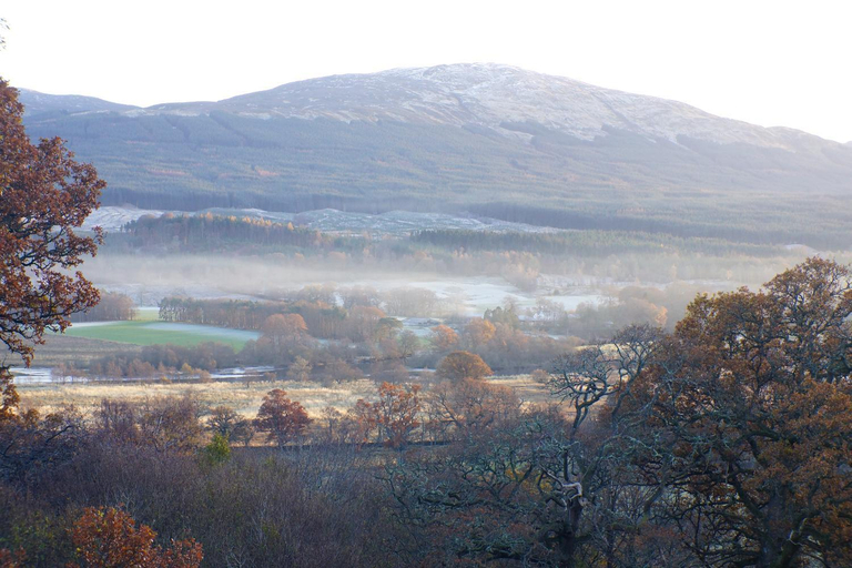 Others 5, Woodland Chestnut Lodge, Stirling