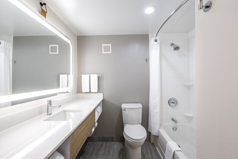 Bathroom 5, Holiday Inn ANDERSON by IHG, Anderson