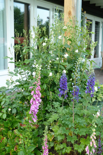 Others 5, Bed&Breakfast Hoornaar, Giessenlanden